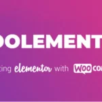 Woolementor Pro 2.3.1 Nulled – Best Customize WooCommerce stores with Elementor