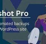 Snapshot Pro v4.9.0 - For safe and efficient WordPress backups 7 Snapshot Pro